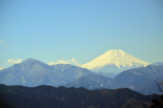 ７回目の健康登山は、下山に「いろはの森コース」を初めて使って、旧甲州街道沿いにある、高尾梅郷を見て歩いた。<br /><br />高尾山は天気も快晴で、前日の雪を被った富士山が綺麗に見えた。<br />高尾山山頂から見る富士山は、手前の丹沢山塊を従えて、素晴らしい景観を見せてくれる。<br />「いろはの森コース」を初めて下山で使ったが、高い樹木に囲まれた森林コースで、樹木の名前などプレートで説明が有り、楽しいトレッキングとなった。ただ、かなり急勾配なので、登りは辛いかも。<br /><br />もう一つのお目当てである、高尾の梅郷は、もう遅いかと心配したが、一番の木下沢（こげさわ）梅林はまだまだ見ごろだった。<br />山の斜面に、約1,400本もの紅梅・白梅は圧巻だった。<br />（詳しくは続きの旅行記で）<br />http://4travel.jp/travelogue/11113355<br /><br /><br />高尾山旅行記<br />⑧高尾山健康登山（７）　梅林　１号路ー高尾山ーいろはの森ー木下沢梅林ー高尾駅<br />http://4travel.jp/travelogue/11112695<br />⑦高尾山健康登山（６）　６号路（琵琶滝）ー高尾山ー金毘羅台ー（金毘羅台歩道）－高尾駅<br />http://4travel.jp/travelogue/11100834<br />⑥高尾山健康登山（５）　紅葉は　蛇瀧ー高尾山ー相模湖　１１月<br />http://4travel.jp/travelogue/11079204<br />⑤高尾山健康登山（４）　稲荷山コースー奥高尾ー高尾山ー琵琶滝　９月末<br />http://4travel.jp/travelogue/11060097<br />④高尾山健康登山（３）　紅葉は　琵琶滝ー高尾山ー相模湖<br />http://4travel.jp/travelogue/10833361<br />③高尾山健康登山（２）　１号路ー高尾山ー小仏峠ー小原宿　５月<br />http://4travel.jp/travelogue/10775822<br />②高尾山健康登山（１）　桜、富士山　１号路ー高尾山ー小仏峠ー旧甲州街道<br />http://4travel.jp/travelogue/10765461<br />①高尾山から相模湖ハイキング　紅葉は？　１号路ー高尾山ー相模湖<br />http://4travel.jp/travelogue/10729717<br />