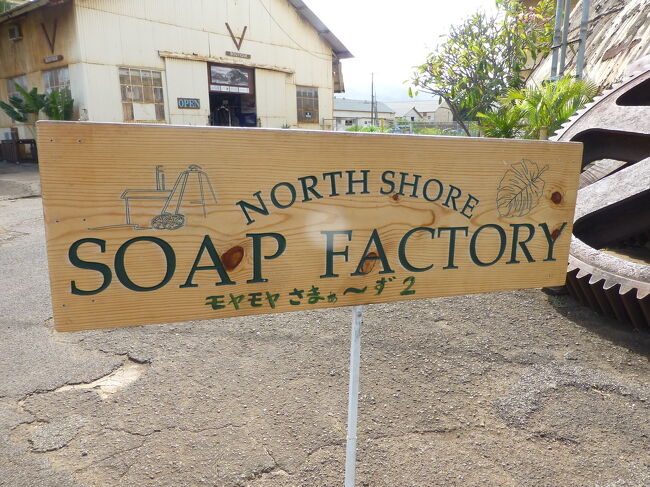 ２年ぶり２回目の母娘ハワイの旅。<br />ノースショアに行くツアーに参加しました。