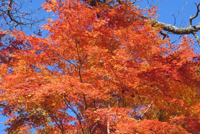 2015秋、信州の紅葉とワイナリー(2/3)：塩尻から自家用車で紅葉巡り