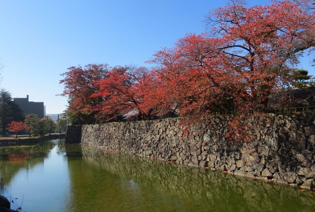 紅葉の時期の松本城の紹介です。