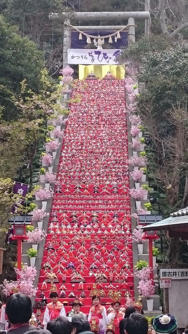 鴨川グランドホテルで１泊した後、勝浦市でちょうど「かつうらビックひな祭り」が開催されているというので、せっかくだからと一旦北に２０ｋｍほどの勝浦に行ったあと、館山など房総半島南部をドライブしてから、君津市でもう１泊しました。<br />「かつうらビックひな祭り」<br /><br />http://www.city.katsuura.lg.jp/forms/info/info.aspx?info_id=30237<br />かつうらビッグひな祭り<br /><br />http://www.tomisaki.or.jp/　遠見岬（とみさき）神社<br /><br />http://www.nanabatake.com/　鴨川菜な花ロード<br /><br />http://shiokaze-oukoku.jp/　道の駅ちくら潮風王国<br /><br />