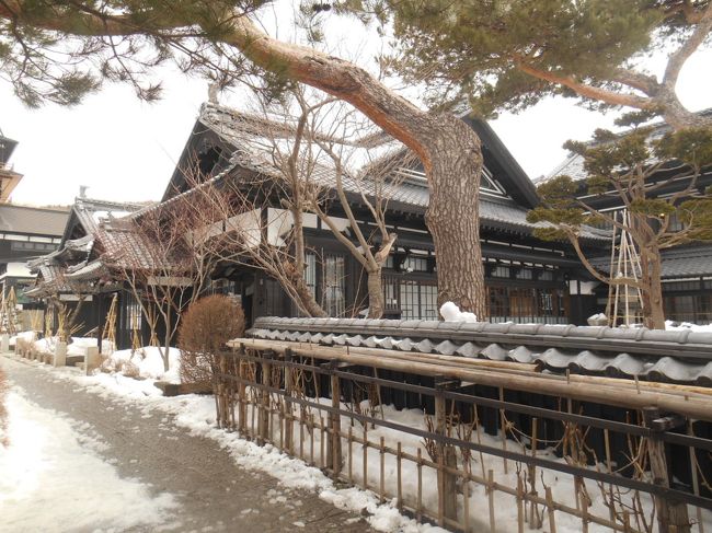 　春になれば、鰊が産卵のために岸に寄ってきます。で、海が白く濁ります。それを群来（くき）るといいます。さあ、北国も雪解けが進み、春らしくなってきました。鰊を求めて小樽にやってきました。