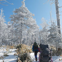 北八ヶ岳雪山ハイク　２日目はピラタスから北横岳へ