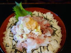 「ねごめし」を食べに伊東まで。「おまかせ丼」も頼みました。