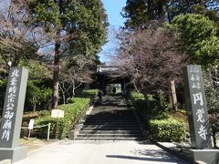 久しぶりに円覚寺を訪ねて