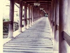 奈良 (法隆寺・平等院・奈良公園・興福寺・橘寺・長谷寺・室生寺・柳生の里) の旅 1973/01/01