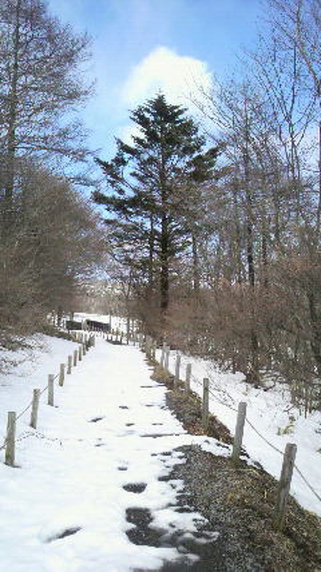 鬼怒川観光ホテルさん<br />２食バイキングで<br />ステーキ　ズワイガニ　とちおとめ（苺）　お寿司　食べ放題でした♪<br />しかも　るるぶさんの１０００円クーポンを使わせていただいて<br />さらにお安く！！　<br />とってもお安く　温泉して食べ放題の極楽させていただきました。<br /><br />さぁ　宿がきまったら　何してあそぼうかな？<br />よし<br />ドライブ行くぞ！！<br />霧降高原<br />大笹牧場<br />雪が残る３月の下旬<br />芽吹くまえ　週末でも道路は空いていて　すいすいドライブ快適でした<br /><br />デジカメ忘れて<br />ガラケーさんで撮影<br />運転してたので写真少な目です