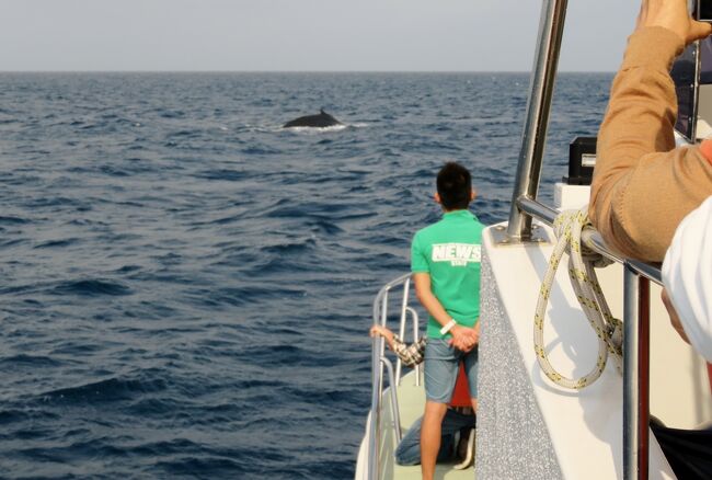 2016春、沖縄旅行(3/19)：3月18日(1)：那覇のホテル、慶良間諸島、野生鯨ウォッチング