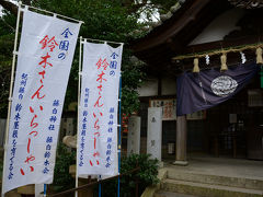 藤白神社（海南市）と白崎スイセンを楽しむ