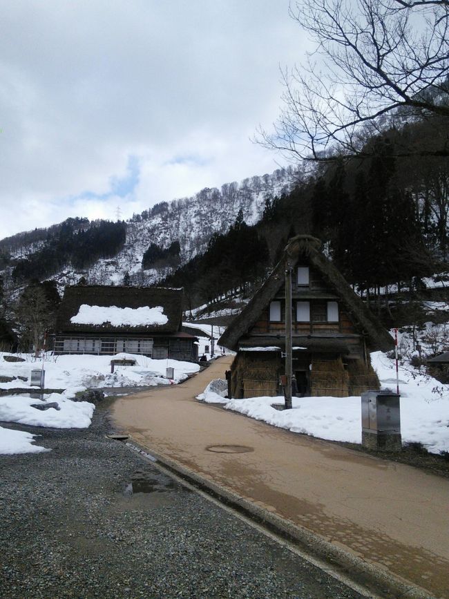 夏にしか行ったことがなかった白川郷。<br />雪に埋もれる合掌造りにあこがれて、<br />2月中旬なら雪たくさん！と12月に予定を立てました。<br /><br />もう一つの目的！のどぐろを食す！食べたこと無いし見たこと無いけど、<br />噂だけでもう食べたくてしかたなかったお魚ちゃん。<br />のっどぐろ、のっどぐろのお寿司！どんだけ美味しいんだろう。<br /><br />小松空港からは貸切タクシー。<br />白川郷に雪がないなら東尋坊とか永平寺にでも行きますかねと<br />運転手さんに言ったら、運転手さん「死にますよ！寒すぎて」って<br />運転手さんからして行きたくない様子(笑）<br />ジモティーが嫌がる寒さじゃやばいよね。<br />それでは飛騨の高山(ここは最初から予定に入っていました。うふふ）、<br />五箇山方面へ変更。ぽつぽつ雪は舞うけど…<br />写真はまだ少し雪が残る五箇山の合掌造です<br /><br />雨男がいない旅の成果？なんだよね。いつもは迷惑な話と思うのに、<br />こういうときに限ってご本人は広島にいるからか？<br />あっちは雪がすごいらしい。こっちの雪持っていくな〜雨男！<br />