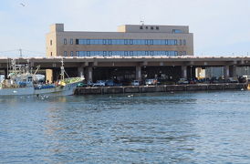 銚子漁港でバードウォッチング [2015](1)