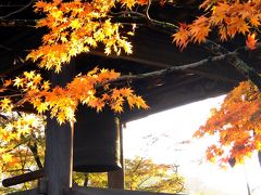 湯回廊菊屋と紅葉の修善寺温泉【２０１５】一日目