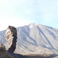 カナリア諸島満喫　テネリフェ島 1