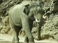 上野動物園