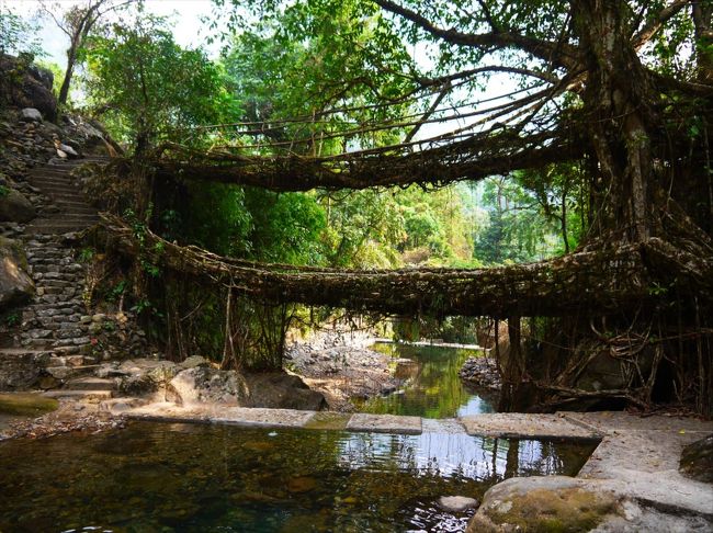 インド北東部と中部の旅３●メガラヤ州の滝と絶壁と生きた橋