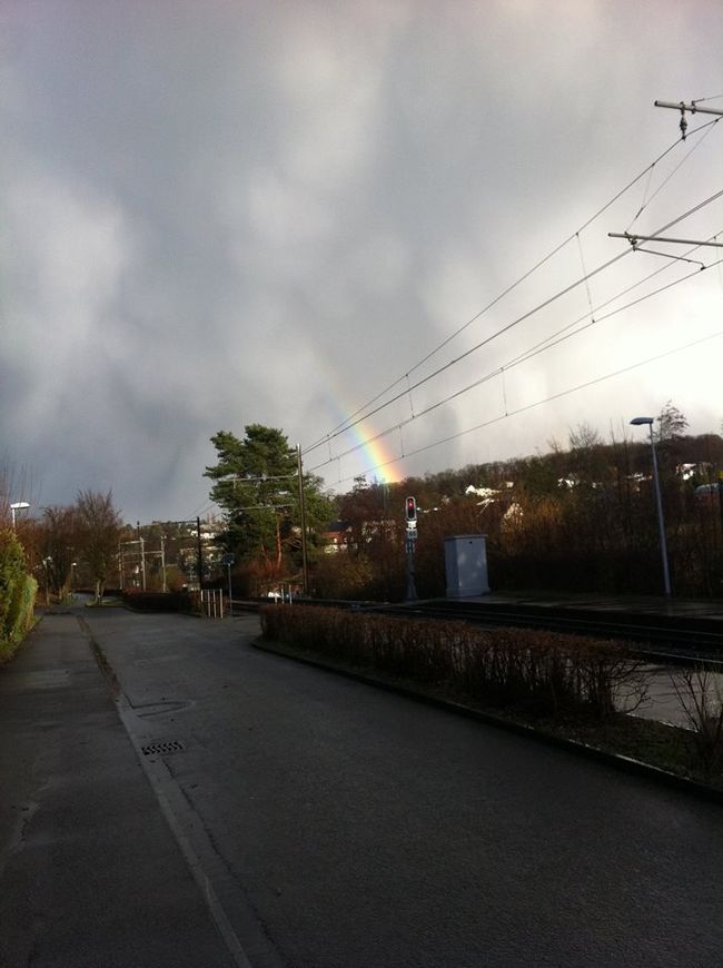 ここ数日バーゼル地方は連日雨・・・（撮影日：2016年1月11日）<br /><br />しかも降ったりやんだり、お天気雨になったり・・・<br /><br />http://ameblo.jp/swissjoho/entry-12117161959.html