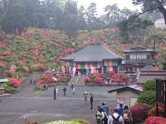 駅からハイキング「春の青梅 霞丘陵「華回廊」ハイキングコース」