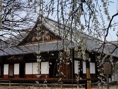 2016水戸の梅 後半 素敵な花景色いっぱいの弘道館