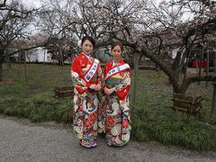 初めての水戸 #2 - 水戸の梅祭り、偕楽園の梅林