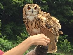 鳥と仲良しin花鳥園