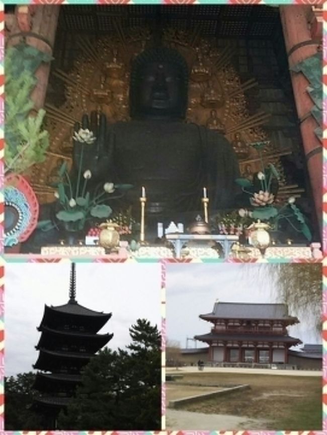 日中少しずつ暖かくなってきて少しずつ春が近づいてきましたね★<br /><br />先日お休みをいただいて奈良に行ってきました！<br />私にとって奈良は大学時代の４年間を過ごした土地なので<br />勝手に第２の故郷だと思っております！笑<br /><br />名古屋から奈良まで直通のバスが出ており２時間半ほどで着きます☆<br />今回は日帰りだったため定番と言われる奈良公園周辺をゆっくり散策してきました。<br /><br />まずは奈良のシンボルとも言われている東大寺の大仏様を見てきました。<br />やはり大仏様を見ると心が和みます。<br />日本人の心といいますか初心に戻ることが出来る気がします。<br /><br />ゆっくり散策した後は奈良公園で鹿と戯れてきました。<br />この時期の鹿は１０月の角切りを終えていますので、<br />凶暴でもなくとても可愛らしい様子です。<br />ただエサに対してはいつでも貪欲ですので<br />隣にいた鹿せんべいを持った外国人の方は即座に鹿に囲まれていました。笑<br /><br />その後興福寺へ戻り、五重塔と猿沢池を回りながら<br />もちいどの商店街をゆっくり散策しました。<br />４年前に比べると喫茶店や食事処も増えており<br />少し前にテレビで取り上げられた「巾着きつね」という<br />巾着の中にうどんが入っているうどん屋さんにも行列が出来ており、<br />奈良名物の「高速餅つき」にもかなり長い行列が出来ておりました。<br /><br />ここまでゆっくり見て夕方のバスでまた名古屋まで戻ってきました。<br />時間があれば「長谷寺」や「法隆寺」方面まで足を伸ばしたかったです…。<br />これからは桜の時期になりますので、「吉野山」の桜が見どころですね。<br /><br />修学旅行に行ったきりで最近奈良へ行っていないなと思われた方は、<br />ぜひ今年のお出かけ候補にしてみてはいかがでしょうか？