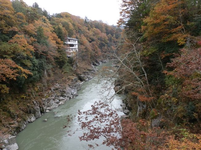 　JR飯田線は愛知県の豊橋と長野県の辰野を結んでいます。その路線の長さは200km近くにも及ぶ稀なローカル線です。駅の数が多く、全部で94駅もあります。起点の豊橋から豊川あたりまでは、都会の町並み風景が続きますが、次第に田園風景が多くなり山並みも近くに見えて、山村の風景へと変わっていきます。列車は徐々に天竜川の流れが造る渓谷風景の中へ。いくつものトンネルをくぐり、断崖絶壁の渓谷を見ながら天竜峡駅に到着します。<br /><br />　三河川合から北、天竜峡駅までの区間は、飯田線の中でも大変険しい山の中を通る難工事の末の開業でした。特に水窪（みさくぼ）駅〜天竜峡駅間の南北約42kmの区間は、山が迫っていて周囲に民家や道路がほとんどなく、大自然に囲まれた駅が多くあります。このような駅は「秘境駅」と呼ばれ、今や大変なブームになっています。これはテレビの旅番組や旅雑誌などで数多く取り上げられ反響を呼び、大いに賑わうようになりました。<br /><br />　今回の「秘境駅」の旅は天竜峡駅（乗車）から平岡駅（下車）までの区間です。<br />天竜峡駅（てんりゅうきょうえき）12：49発⇒千代駅（ちよえき）⇒金野駅（きんのえき）⇒唐笠駅（からかさえき）⇒門島駅（かどしまえき）⇒田本駅（たもとえき）⇒温田駅（ぬくたえき）⇒為栗駅（してぐりえき）⇒平岡駅（ひらおかえき）　13：24着（乗車時間35分）<br /><br />　小さな駅の一つ一つにも、ローカル線の普通列車は停車します。千代（ちよ）、金野（きんの）、田本（たもと）、為栗（してぐり）、などが、秘境駅と言われており、難読の駅名でもある。駅の周囲を見回しても、まわりには生活の気配は感じられず、自然の景観以外には何もない、全国的にも類を見ない「秘境駅銀座」の路線と言えます。<br />