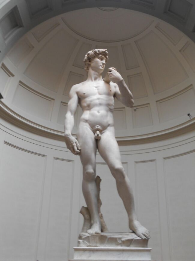 定年の記念として、妻とともにイタリア(ローマ、フィレンツェ、ミラノ)を旅行しました。<br />初めてのイタリアで、不安でしたが、旅行を満喫して無事に帰ってくることが出来ました。<br /><br />■■3日目(2016年3月19日 土曜日)■■■■<br />今日は、午前中に、ローマからフィレンツェに電車(Frecciarossa9414)で移動し、午後は、フィレンツェ市内観光です。<br /><br />-----------------------------------------------------------------<br /><br />【今回のスケジュール】<br />・1日目(3月17日(木曜日))<br /> 羽田空港→ミュンヘン空港 移動(ANA217 )<br /> ミュンヘン空港→フィウミチーノ空港 移動(ANA NH6095)<br /> フィウミチーノ空港→ローマ・テルミニ駅 移動(レオナルド・エックスプレス)<br /> ≪ローマ泊≫<br />http://4travel.jp/travelogue/11105898<br /><br />・2日目(3月18日(金曜日))<br /> ローマ市内観光<br /> ≪ローマ泊≫<br />http://4travel.jp/travelogue/11114846<br /><br />・3日目(3月19日(土曜日))<br /> ローマ・テルミニ駅 → フィレンツェ中央駅 移動(電車 Frecciarossa9414)<br /> フィレンツェ市内観光<br /> ≪フィレンツェ泊≫<br />http://4travel.jp/travelogue/11114979<br /><br />・4日目(3月20日(日曜日))<br /> フィレンツェ市内観光<br /> ≪フィレンツェ泊≫<br />http://4travel.jp/travelogue/11115017<br /><br />・5日目(3月21日(月曜日))<br /> フィレンツェ市内観光<br /> フィレンツェ中央駅 → ミラノ中央駅 移動(電車 Frecciarossa9540)<br /> ≪ミラノ泊≫<br />http://4travel.jp/travelogue/11115888<br />http://4travel.jp/travelogue/11115023<br /><br />・6日目(3月22日(火曜日))<br /> ミラノ市内観光<br /> ミラノ空港 → ミュンヘン空港 移動(ANA NH6054)<br /> ミュンヘン空港 → 羽田空港 移動(ANA NH218)<br />http://4travel.jp/travelogue/11115025