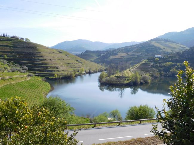 <br />以前からずっと行きたいと思いつつ、なかなか足を運べなかったポルトガルへ、ようやく行く事が出来ました。行くと決めてからは、ガイドブックを読んだりネットで検索すればするほど、物価の安さや人の優しさが感じられ、行く前からポルトガルが好きになってしまいました。初めての投稿で上手く旅行記をまとめられるか分かりませんが、お読みいただければ幸いです。<br /><br /> ３月６日　：関空からトルコ航空でイスタンブール経由リスボンへ<br />３月７日　：リスボン到着、リスボン市内<br /> ３月８日　：シントラ、ロカ岬、リスボン市内<br /> ３月９日　：リスボン→エルヴァス<br />３月１０日：エルヴァス→エストレモス<br />３月１１日：エストレモス→エヴォラ→リスボン<br />３月１２日：リスボン→ポルト<br />３月１３日：ポルト→ギマランイス→ポルト<br />３月１４日：ドウロ川ツアーに参加<br /> ３月１５日：ポルト発イスタンブール経由関空へ<br />３月１６日：関空到着<br /> 