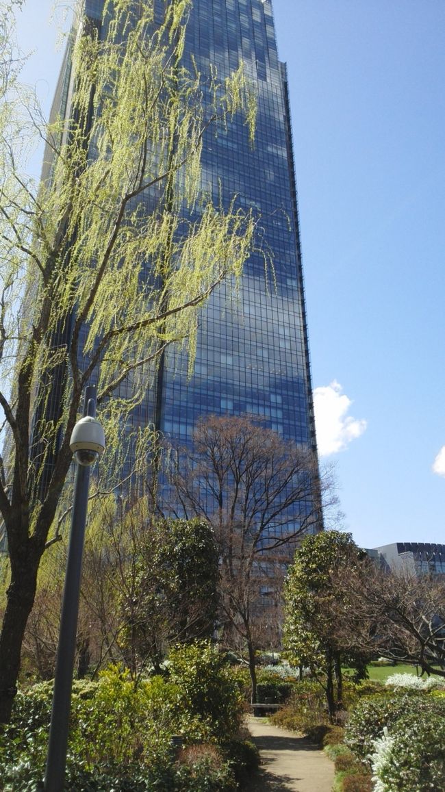 今日は、寒かったです!<br />東京は、2.3日前に桜の開花宣言がでましたが花冷えの<br />今日は桜も固い蕾のままでした。<br />家から出てくるのにダウンコートを着てこようかと思った位です。