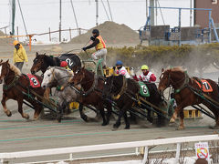 2016年１月　SFC修行第1弾道東4日目　ばんえい競馬と音更神社　