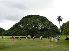 ハワイの休日・ちょっとのんびり１８日間　オリオリ・スニーカーに乗って、「オアフ島東海岸（ハロナ潮吹き穴～シー・ライフ・パーク他）～モアナルア・ガーデン」までミニ・ドライブしました。（2016）