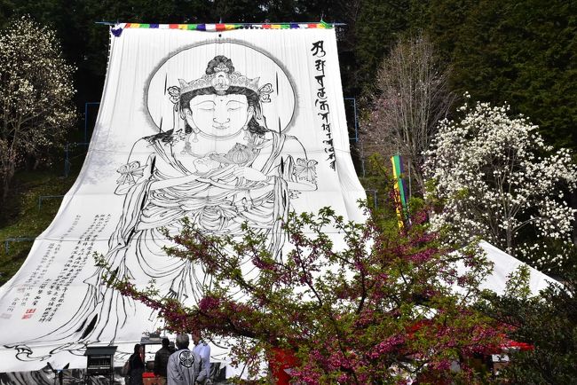 新豊院(しんぽういん)では、布に描かれた大きな観音さまが年に一度ご開帳されます。<br />長さ45mもある布大観音は、3月中頃の日曜日に裏の観音山に掲揚されます。<br /><br />大観音画像は大正13年、昭和天皇が東宮時代ご成婚されたのを奉祝し当町出身で東京美術学校教授、大村西崖画伯が読経の中、墨汁を使い描きあげました。<br />そして、1999年に開創800年の記念事業として、さらに大きく240反の布に複写されました。<br /><br />今日はこの観音さまが山に掲揚される過程をじっくり見学し、ご開帳を拝観します。<br />