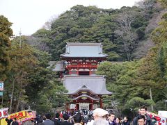 家族で鎌倉散策・鶴岡八幡宮編