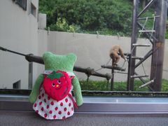 けろ子ZOOへ行く（１）福岡市動植物園