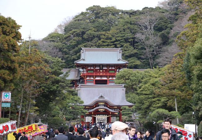家族で鎌倉散策、まずは鶴岡八幡宮