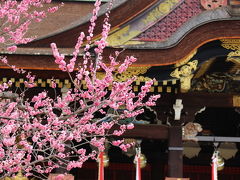 冬の京都・梅の名所めぐり～北野天満宮・二条城～