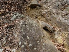 低山ながら登攀もあり登りごたえのある吾妻山、３００種類の花梅が見られる農林公園/群馬・桐生、埼玉・熊谷