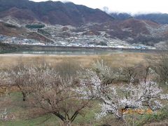【慶尚南道・河東】 光陽の梅花マウルを対岸から視察 / 河東名物のシジミ汁定食、市場など