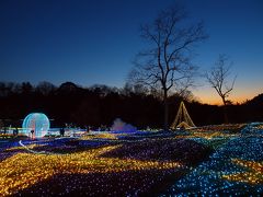 キラキラ☆☆つま恋サウンドイルミネーション♪♪と森林乃湯で湯ったりくつろいで帰りましょう