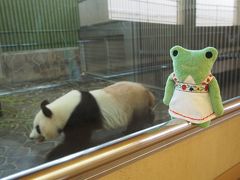 けろ子ZOOへ行く（２）神戸市立王子動物園