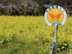 初めての冬の鹿児島・指宿めぐり