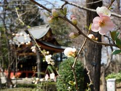 江戸東京たてもの園