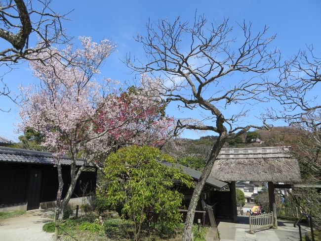 北鎌倉のお寺巡り、３時間