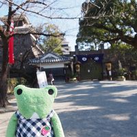 何もしない贅沢 温泉と熊本旅　２