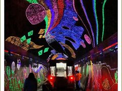Solitary Journey［1730］とことこトレインに乗って♪６色の蛍光石で装飾された幻想的な夢世界へ＜きらら夢トンネル＞山口県錦町