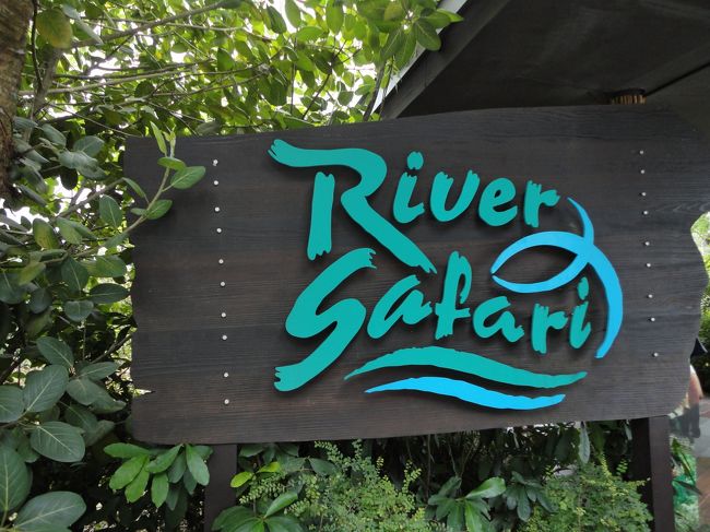 シンガポール３日目。<br /><br />２日目は水族館へ行ったので、今度は動物園へ行きたいと友人が話したので<br />自分も行ったことのなかった動物園へ行きました。<br /><br />動物園には、<br />・シンガポール動物園<br />・リバーサファリ<br />・ナイトサファリ<br />と３種類の動物園があります。<br /><br />今回は３つのうちの１つ、リバーサファリを体験しました。<br /><br />サファリへは午後に訪れ、午前中はガーデンズバイザベイを観光しました。<br /><br />今考えると植物、動物と自然と触れ合う一日でしたね～<br /><br /><br /><br />ちょっと写真の量が多くなってしまったと思います。