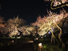 2016年　3月　茨城県　偕楽園(2)  