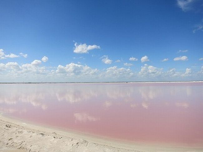 カンクンから片道３時間ほどの所にあるピンク色の塩湖<br />ピンクレイクのご紹介です！<br /><br />綺麗な薄ピンク〜〜♪<br /><br /><br />
