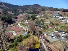 東秩父村・花桃の郷と皇鈴山