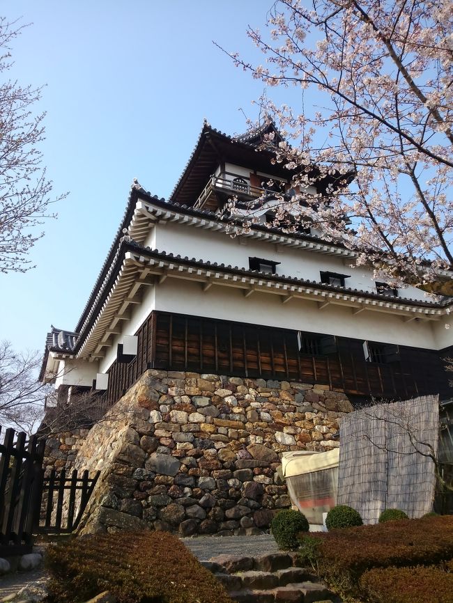 桜咲く犬山城には外国からのお客さんを含めて7分咲きの桜を楽しんでいました。<br /><br />犬山城は姫路城、松本城、丸岡城等を含み昔の面影をそのまま遺している城です。<br /><br /><br />犬山観光情報<br /> http://inuyama.gr.jp/facility/facility-41049 